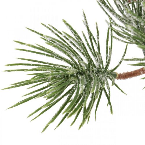 Floristik24 Kalėdinės šakelės dirbtinės pušies šaka apsnigta 30cm 6vnt