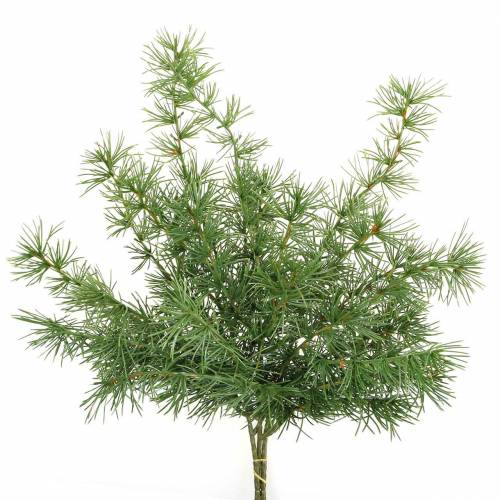 Dirbtinė pušies šakelė žalia 53cm 3 vnt