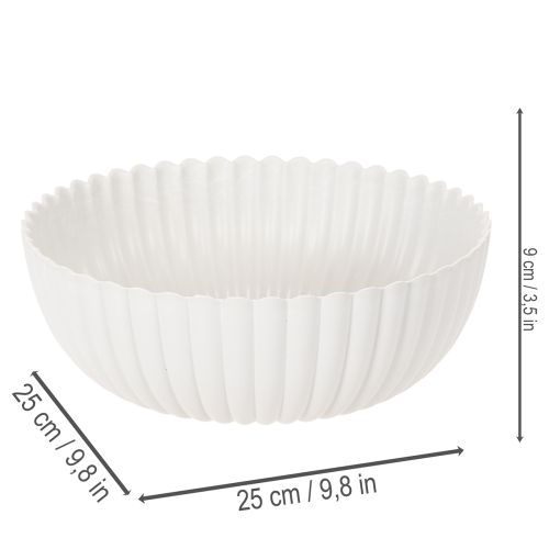 Dekoratyvinis dubuo, briaunotas, didelis, 25 cm | Floristik24.lt