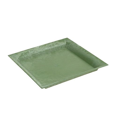 Floristik24 Plastikinė plokštė žalia kvadratinė 19,5 cm x 19,5 cm