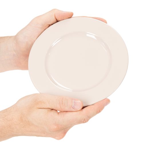 Apvalios, paprastos lėkštės dekoravimui ir mažoms kompozicijoms, 17 cm, 6 vnt. | Floristik24.lt