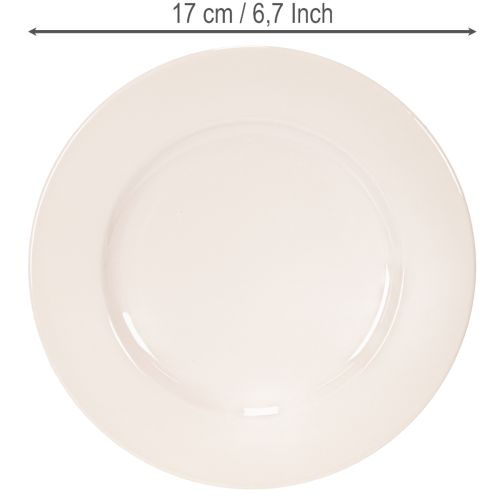 Apvalios, paprastos lėkštės dekoravimui ir mažoms kompozicijoms, 17 cm, 6 vnt. | Floristik24.lt