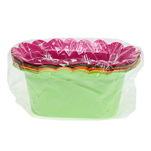 Floristik24 Plastikinis puodas ovalios spalvos asortimentas. 22x12cm 10vnt