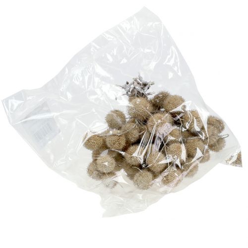 Floristik24 Lėktuvų vaisiai plauti balti 250g