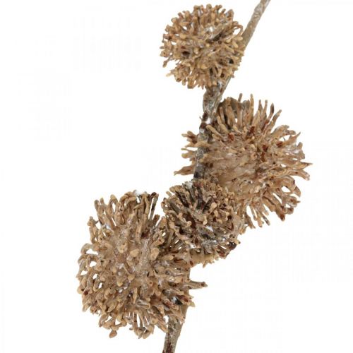 daiktų Dekoratyvinė platanos šakelė su vaisiais Rudens puošmena Dirbtinė platana Ruda L82cm Ø2-4cm