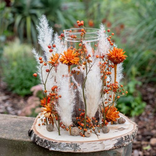 daiktų Plumosum 1 Oranžinė 25 vnt