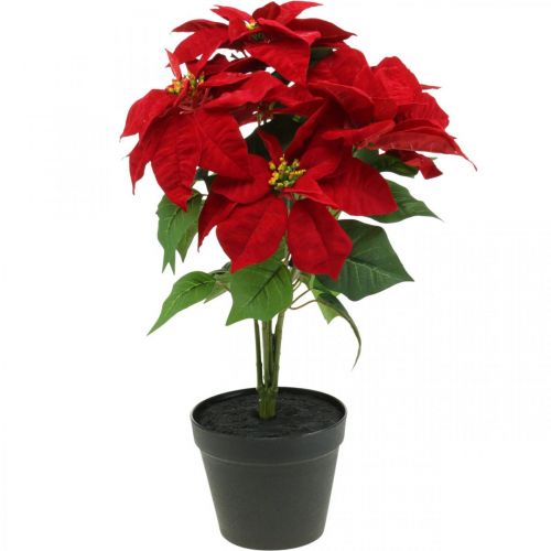 Dirbtinės Kalėdų žvaigždės raudonos dirbtinės gėlės vazonėlyje H53cm