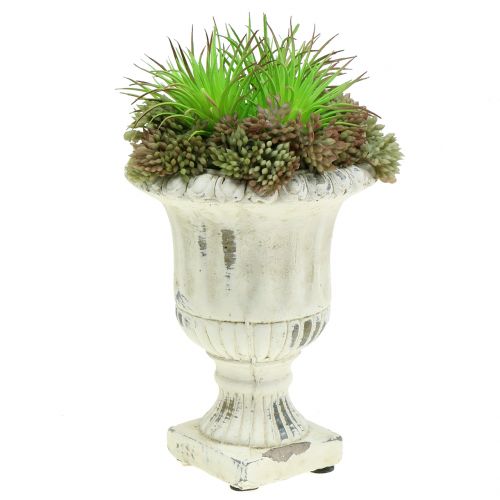 Floristik24 Puodelis senovinio akmens liejimo kremo Ø9cm H12cm 2vnt
