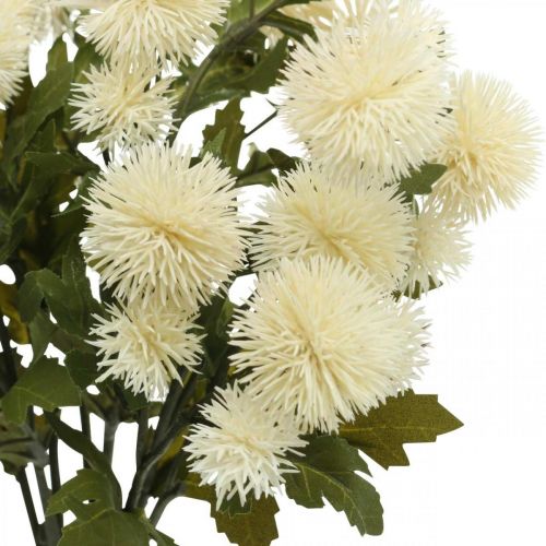 Floristik24 Pompom šakelė kreminė deko šakelė rudens 55cm 4vnt