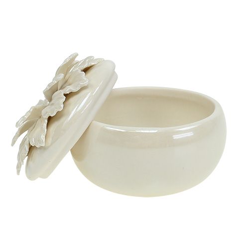 Floristik24 Porcelianinis stiklainis kremas Ø7,5cm H6cm