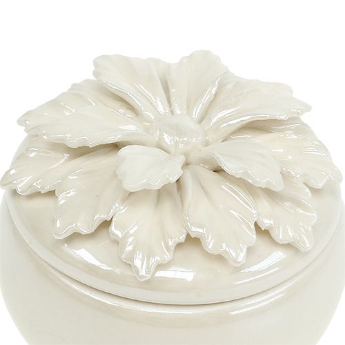 Floristik24 Porcelianinis stiklainis kremas Ø7,5cm H6cm