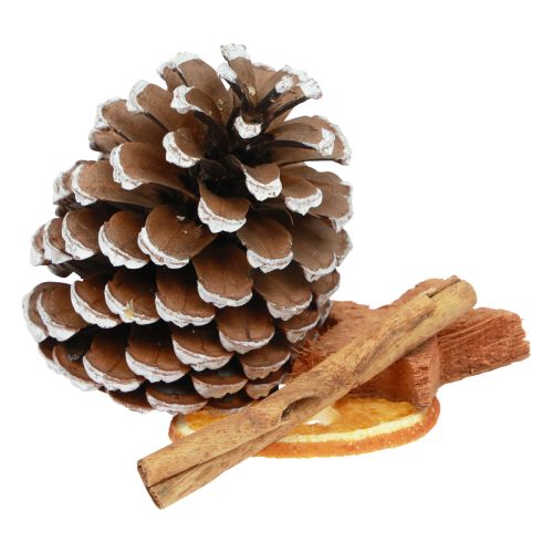 Floristik24 Popuris kalėdinio apelsino griežinėliai spurgai cinamono mediena 150g