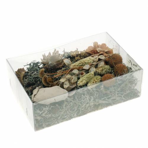 Floristik24 Herbstdeko Mix kaip rankdarbių rinkinys Džiovintas Balintas 150g