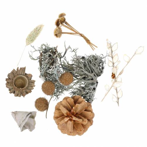 Floristik24 Herbstdeko Mix kaip rankdarbių rinkinys Džiovintas Balintas 150g