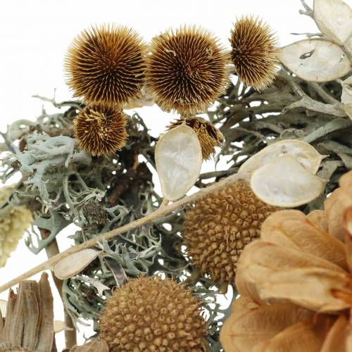 Floristik24 Herbstdeko Mix kaip rankdarbių rinkinys Džiovintas Balintas 150g