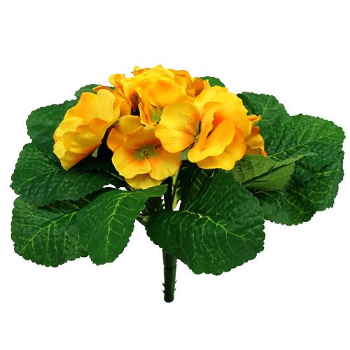 Floristik24 Raktažolė 15 cm Geltona