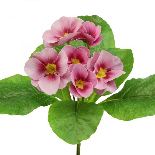 Floristik24 Raktažolės Dirbtinės gėlės Cowslips Pink H25cm