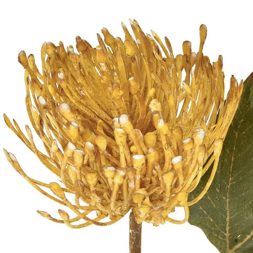 daiktų Dirbtinės protea smeigtukų pagalvėlės Leucospermum geltonos 30 cm 6 vnt.