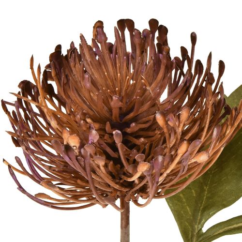 daiktų Dirbtinės adatų pagalvėlės „Protea“ „Leucospermum“ violetinės 30 cm 6 vnt.