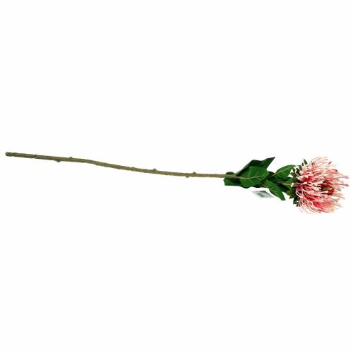 daiktų Protea Dirbtinė Rožinė 73cm