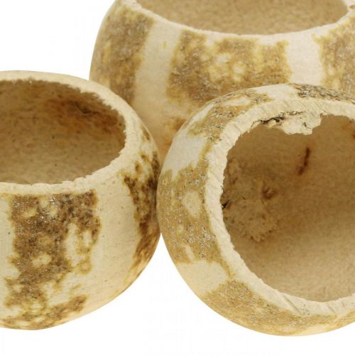daiktų Moliūgų dekoravimas Bell Cup Moliūgų puodelis balintas 50 vnt