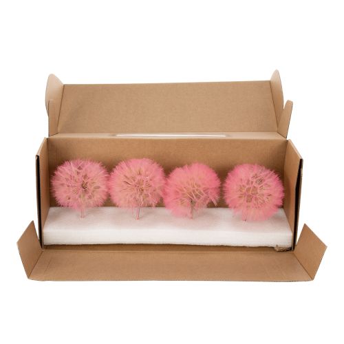 daiktų Dekoratyvinė gėlės šakelė, kiaulpienės raštas, elegantiškai namų dekoracijai, 50 cm, 4 vnt.