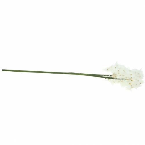 Floristik24 Dirbtinės pievos gėlė milžiniška kiaulpienė balta 57cm