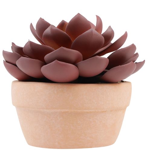 daiktų Sultingas augalas vazone Echeveria dirbtinė raudona Ø15cm