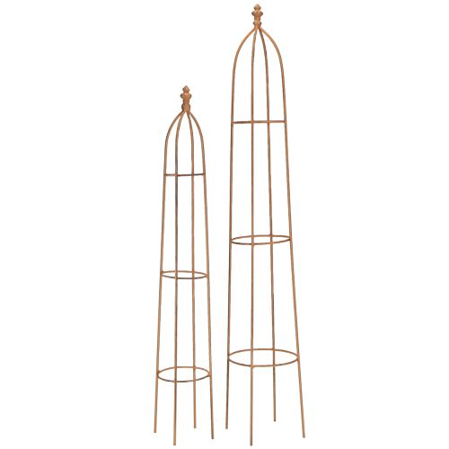 Floristik24 Trellis Metal Rust Look Obeliskas 69/86cm Rinkinys iš 2