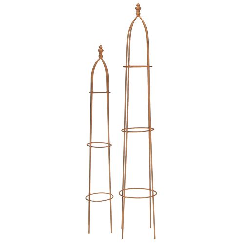 Floristik24 Trellis Metal Rust Look Obeliskas 69/86cm Rinkinys iš 2