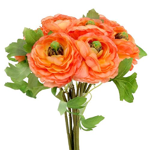 Floristik24 Ranunculus oranžinė 27cm 8vnt