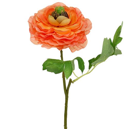 Floristik24 Ranunculus oranžinė 27cm 8vnt