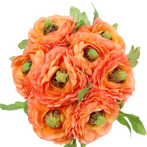 Floristik24 Ranunculus oranžinė 27cm 8vnt