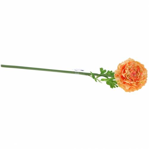 daiktų Ranunculus lašiša H45cm
