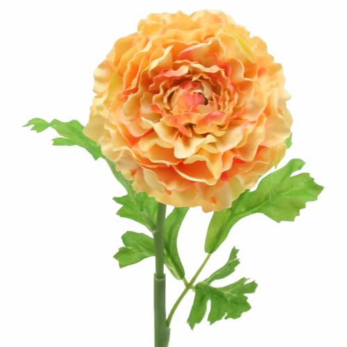 Floristik24 Ranunculus lašiša H45cm