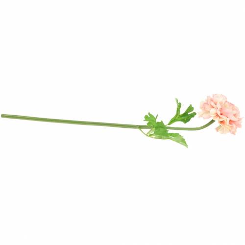daiktų Ranunculus persikas H45cm
