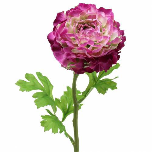 Floristik24 Ranunculus violetinė dirbtinė 48cm