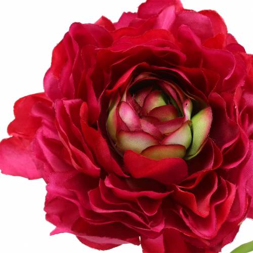 Floristik24 Ranunculus tamsiai rožinė dirbtinė 51cm