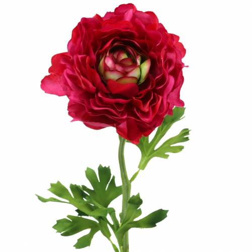Floristik24 Ranunculus tamsiai rožinė dirbtinė 51cm