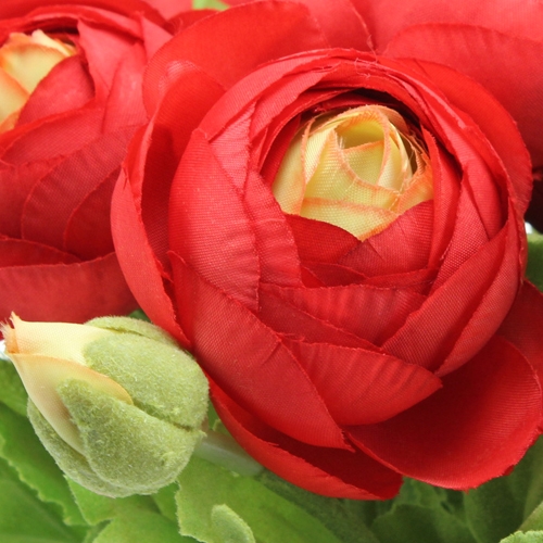 daiktų Ranunculus puokštė raudona 30cm