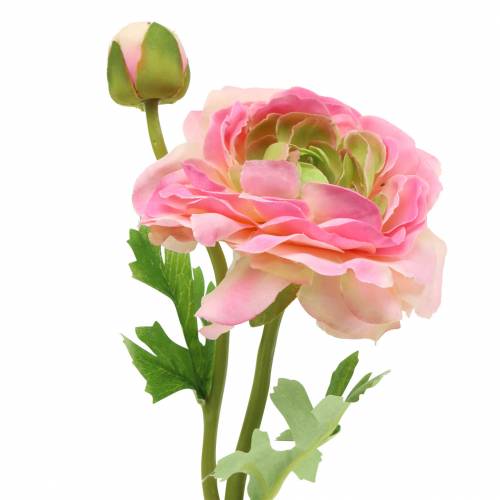 Floristik24 Ranunculus žiedas ir pumpuras dirbtinis rožinis 34cm