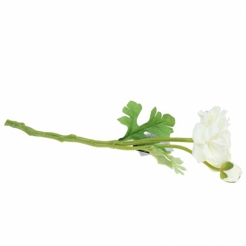 Floristik24 Dirbtinė gėlė ranunculus su žiedais ir pumpurais balta H34cm