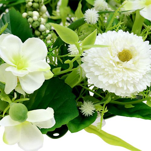 Floristik24 Ranunculus vainikas su Bellis baltu Ø30cm