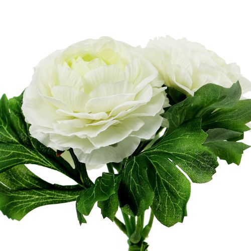 Floristik24 Ranunculus puokštė balta L18cm