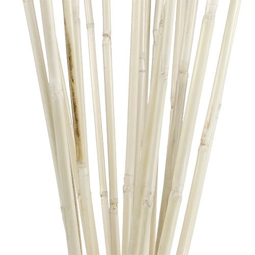 Floristik24 Ratano pagaliukai baltinti 100cm 20 vnt