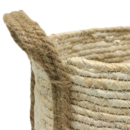 Floristik24 Rotango krepšelis natural/rudas Ø40/32/26cm 3vnt