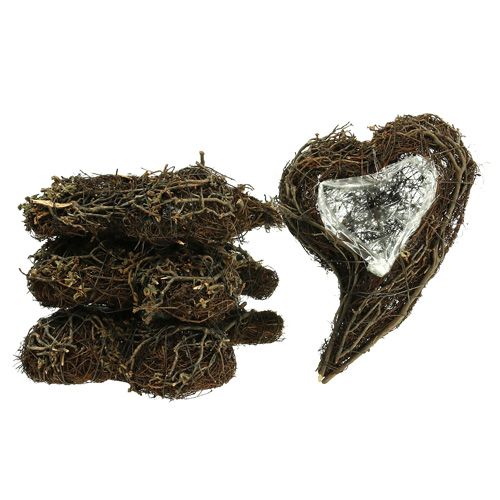 daiktų Vynmedžio augalo širdelė gamta 15cm x23cm x5cm 4vnt