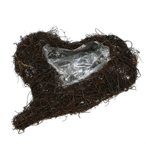 daiktų Vynmedžio širdelė gamtos sodinimui 30cm x 25cm