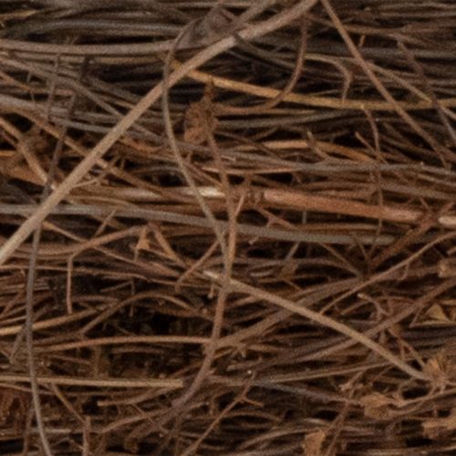 daiktų Natūralus vynuogių vainikas Ø15cm, 10 vnt. rinkinys - idealiai tinka rudens, Kalėdų, Velykų ir laidotuvių dekoracijoms