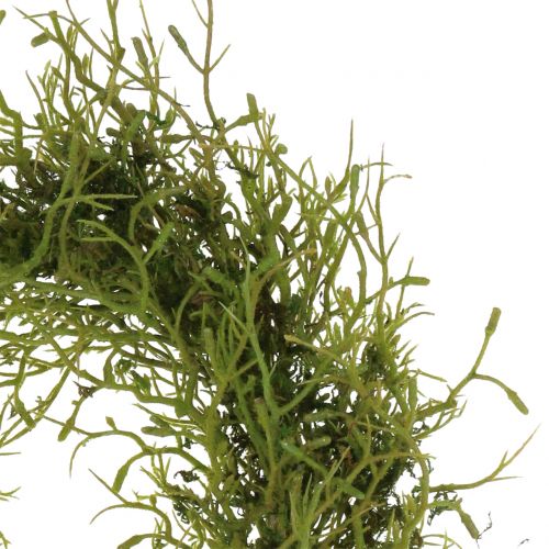 Floristik24 Pavasarinis vainikas su samanų žalia Ø30cm